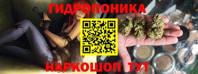 прущий лед Гусев