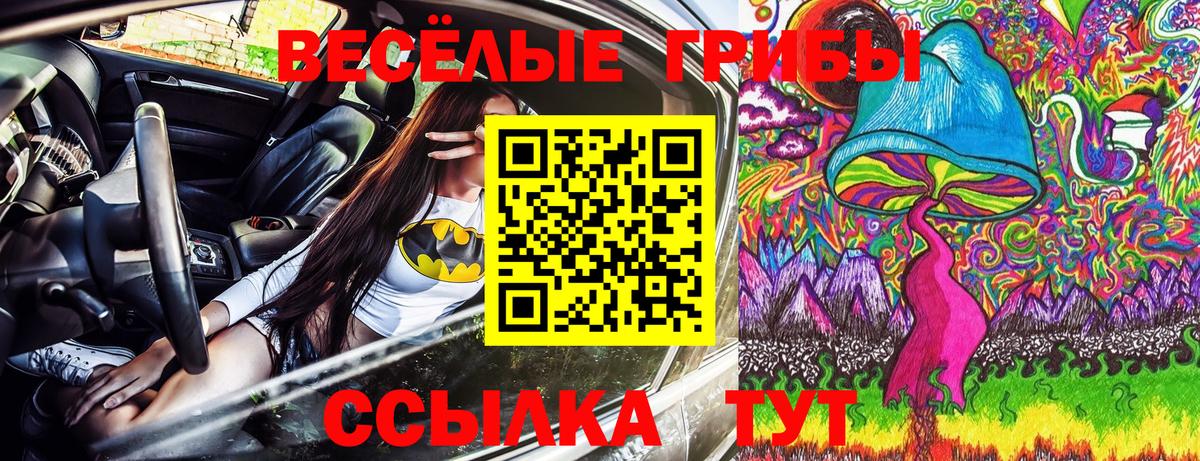 Псилоцибиновые грибы мухоморы Нальчик